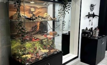 Mael Tattoo Studio