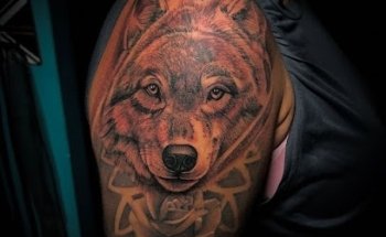 HYDRA-TATTOO