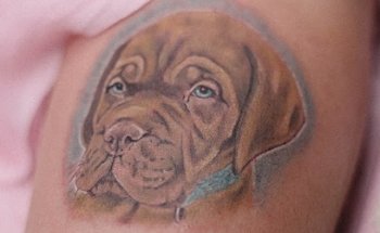 Belitattoo
