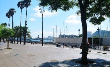 Barceloneta Tattoo Studio