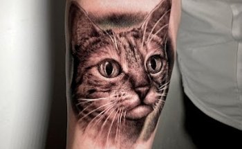 Arima Tattoo Studio