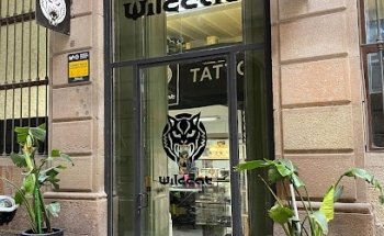 Wildcat