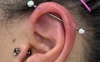 Dolor Studio