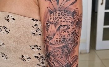 Drago Tattoo