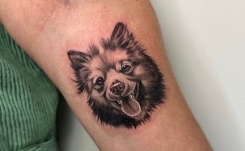 Golden cat tattoo