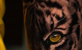 Final Tribal Tattoo & Piercing