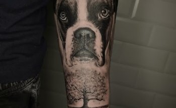 Anders Gallery