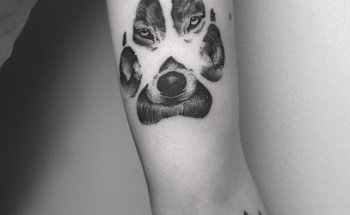 CAOS TATTOO GALLERY