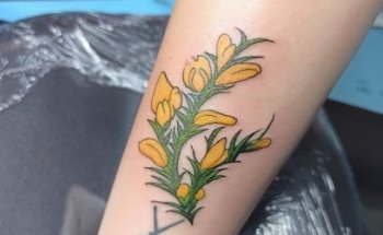 AlmaMia Tattoo