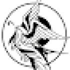 VLM Tattoo